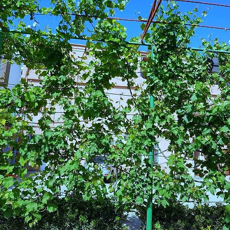 Hotel Texas Tbilisi Luaran gambar